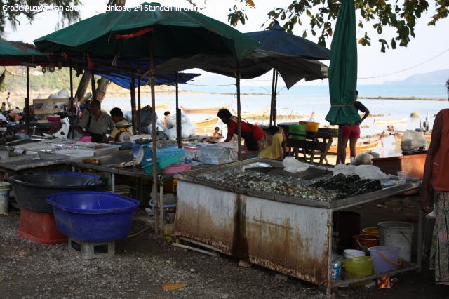 Fr&uuml;hling Zwiebel